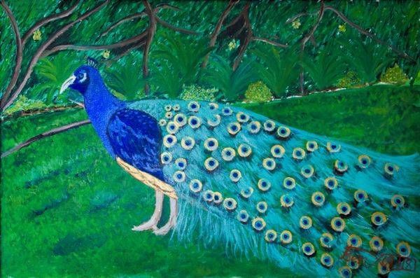 The Peacock — Dr. Louis Bernard Antoine