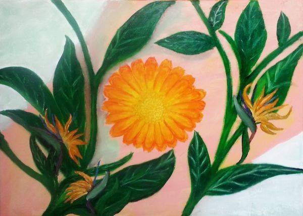 Sunflower — Dr. Louis Bernard Antoine